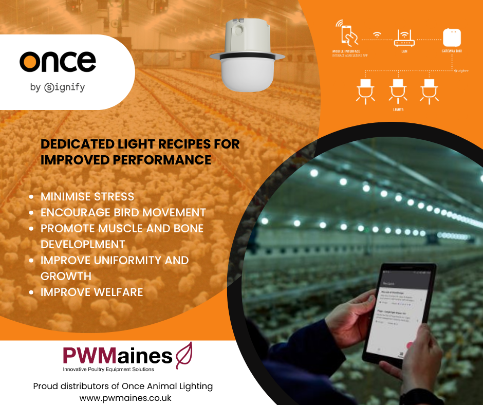 lighting-recipes-webinar-by-once-animal-lighting/