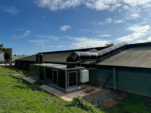 Poultry house with proper ventilation to reduce ammonia and protect flock health and welfare.